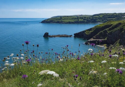 7 unique things to do in South Devon