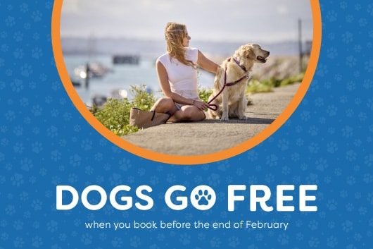 Dogs Go Free – Book Your 2026 Holiday Before End of February