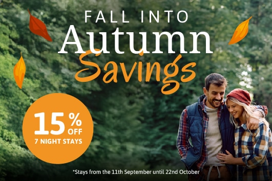 Autumn Prices Falling Up To 15%*