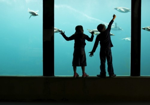 Plymouth Aquarium