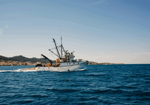 Brixham Trawler Race