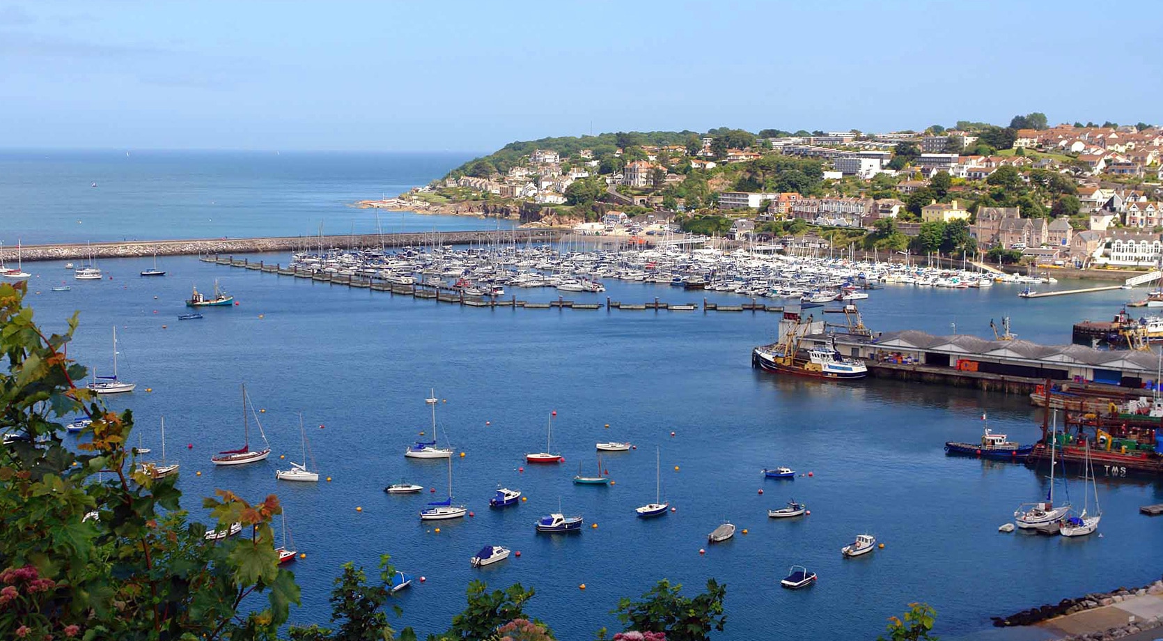 torbay tourist attractions
